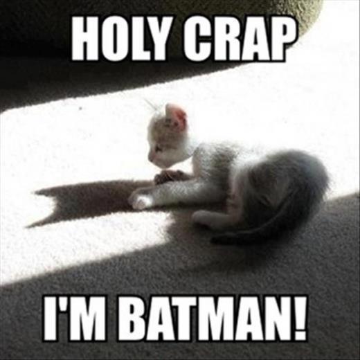 Funny Memes Holy-crap-Im-Batman